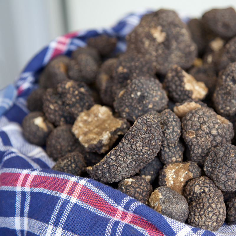 Black Truffles